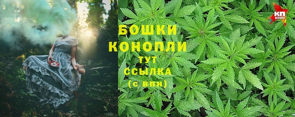 соль ск Балахна