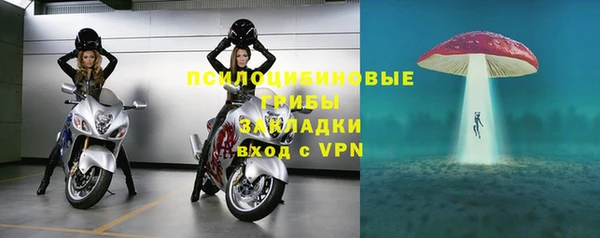 соль ск Балахна