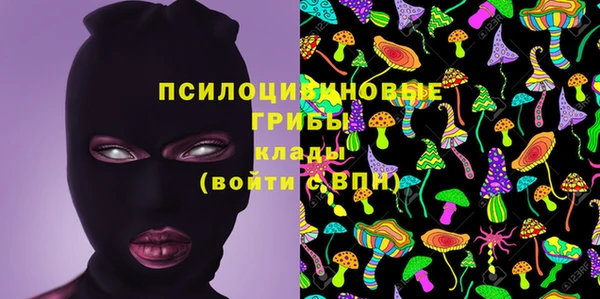 соль ск Балахна