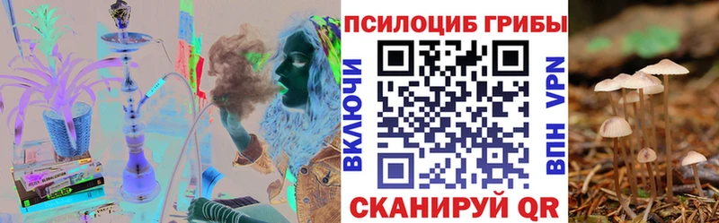 Псилоцибиновые грибы Psilocybe  Купить где  Буинск 